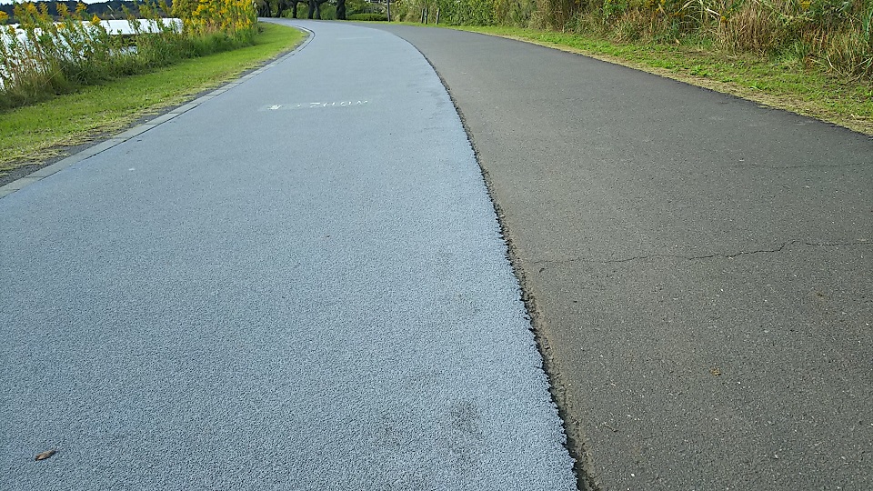 千波湖沿いの散策路